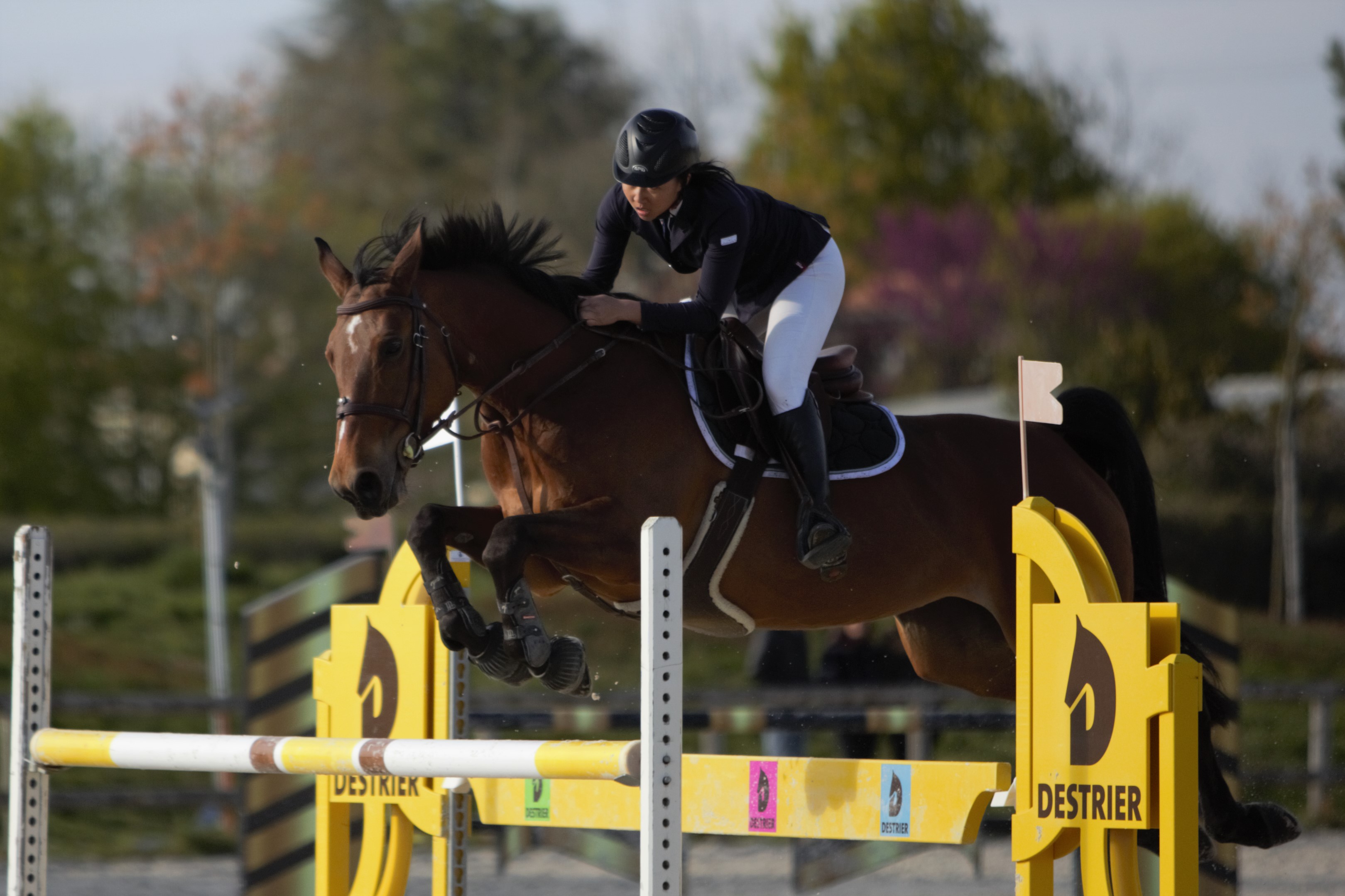 Résultats CSO du 14 Avril de Bressuire Centre équestre de Bressuire